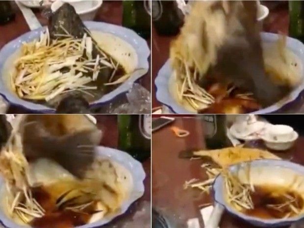 Hii Ngeri! Kepiting hingga Belut Kabur Saat Akan Dimasak