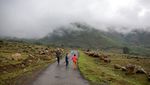 Pesona Kashmir di Balik Pegunungan Himalaya