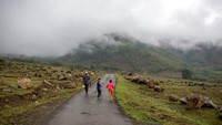 Karena kedua Lempeng tersebut mempunyai berat jenis yang sama, maka bagian yang terkena tumbukan akan terangkat ke atas dan membentuk Pegunungan Himalaya. AP Photo/Dar Yasin  