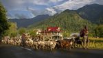 Pesona Kashmir di Balik Pegunungan Himalaya