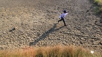 Petambak terpaksa membiarkan tambaknya mengering karena kualitas air saat musim kemarau yang buruk disebabkan meningkatnya kadar garam sehingga bisa menyebabkan kematian ikan.