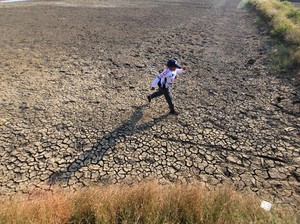 Hari Penanggulangan Lahan dan Kekeringan Sedunia: Sejarah-Tema Peringatan