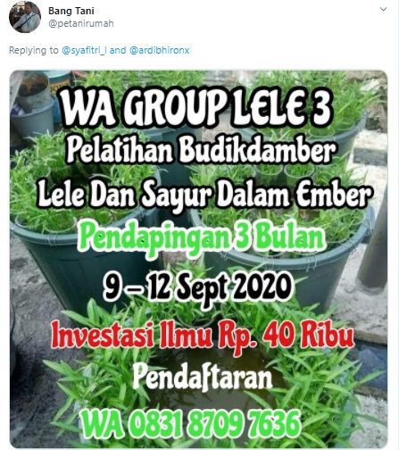 Ikut Budi Daya Lele, Wanita Ini Bilang Suaminya Jadi Jarang Marah