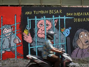 Satwa Liar Dipelihara, Polhut: Bukan Sayang, Itu Nafsu dan Ketamakan