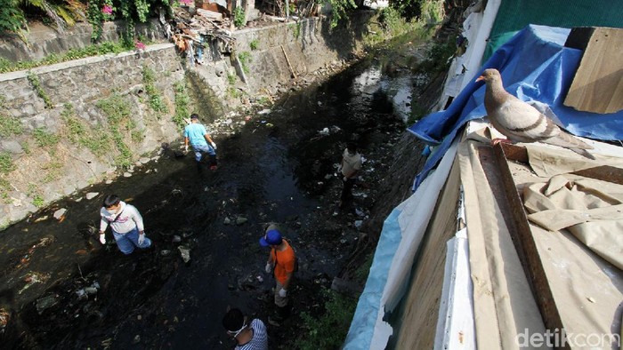 Pelanggar Masker di Solo Dihukum Bersih-bersih Sungai Warga yang terjaring razia masker di Solo dikenakan sanksi membersihkan sungai. Sungai yang dibersihkan adalah anak Sungai Pepe di Kebalen.