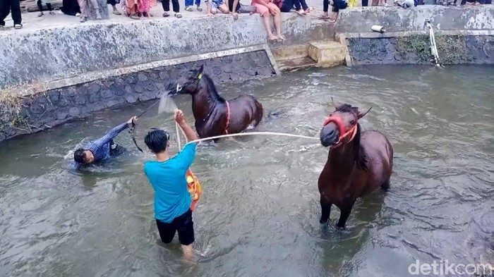 Kabupaten Kuningan dikenal sebagai kota kuda dan memiliki sebuah maskot berupa patung kuda di taman kota. Hal itu tentu berdasar dari banyaknya masyarakat Kuningan yang memiliki kuda. Untuk menjaga kebugaran fisik dan kesehatan kuda-kuda tersebut masyarakat Kuningan rutin memandikan kuda-kudanya di aliran Sungai Surakatiga di Blok Cikedung, Kelurahan Winduhaji, Kecamatan Kuningan tiap Jumat kliwon.