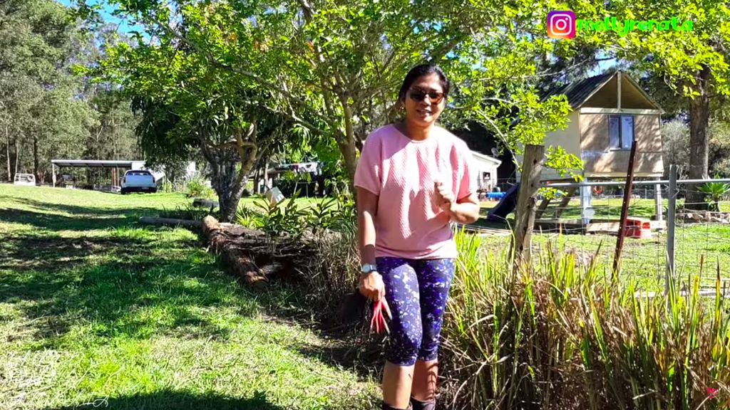 Tinggal di Australia, Emak Indonesia Ini Panen Ubi hingga Daun Singkong
