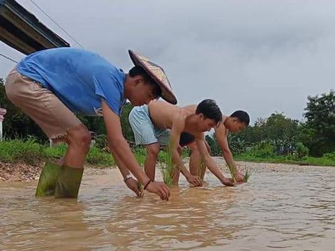 Aksi warga di Sultra protes jalan rusak dengan menjadikannya lokasi ngopi dan bercocok tanam
