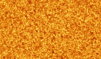 Astronomy Photographer of the Year 2020