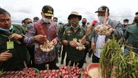 Lumbung Pangan di Sumut ini akan menjadi kawasan pengembangan tanaman hortikultura antara lain bawang merah, bawang putih, dan kentang.