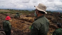 Tahap awal pembangunan lumbung pangan itu akan pada tahun ini, di atas lahan seluas 1.000.