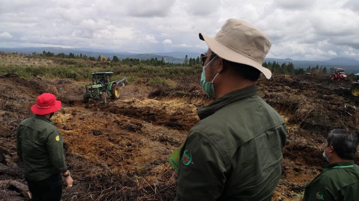 Menteri Pertanian Syahrul Yasin Limpo meninjau lahan pengembangan  lumbung pangan di Desa Ria-Ria, Kabupaten Humbang Hasundutan, Sumut.
