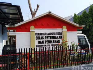 6 Pegawai Dinas Peternakan Kab Blitar Positif COVID-19, Kantor Ditutup Sepekan