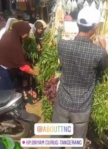 Gerobak Sayur Disulap Jadi Kendaraan Iring-iringan Pengantin