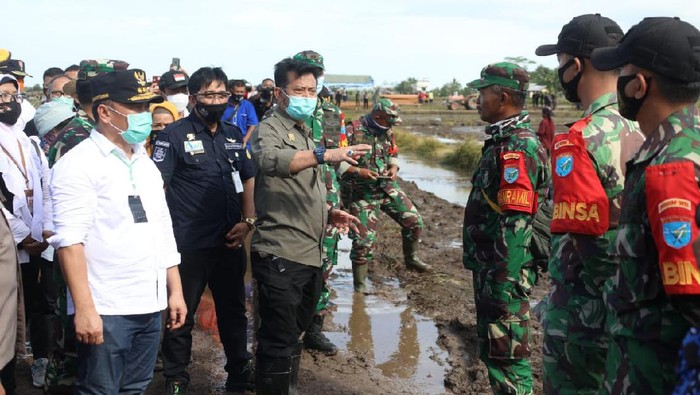 Mentan Cek Lumbung Pangan Kalteng Jelang Tanam Perdana