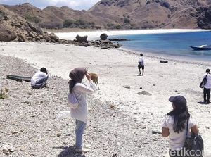 Pemandu Wisata Ilegal di Labuan Bajo Wajib Ditertibkan! Banyak Bikin Ulah