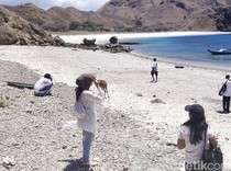 Pemandu Wisata Ilegal di Labuan Bajo Wajib Ditertibkan! Banyak Bikin Ulah