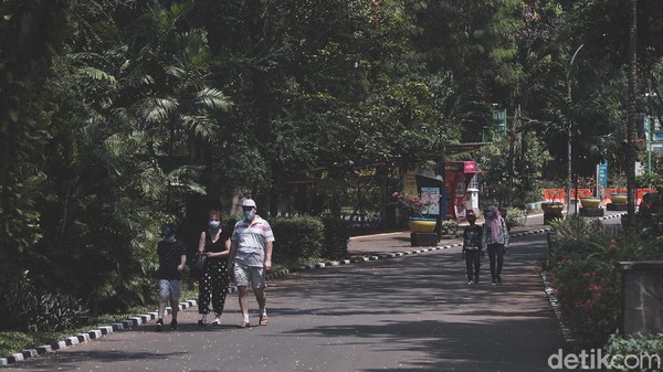 Menanggapi kabar tersebut, detikTravel menghubungi Kepala Unit Pengelola Taman Margasatwa Ragunan, Widodo via telepon, Kamis (10/9/2020). Dijelaskan oleh Widodo, ia telah mendengar kabar tersebut.