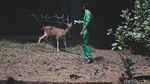 Ragunan Jelang Mati Suri Imbas PSBB Total