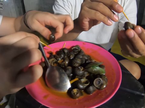 Orang Korea Cobain Tutut