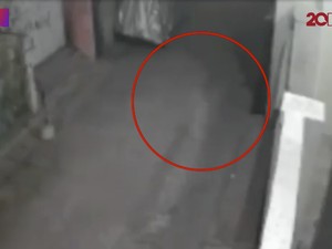 Heboh Viral Penampakan Tuyul di Priok