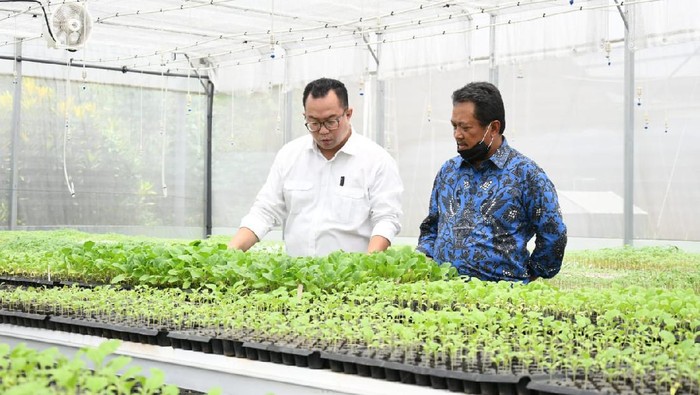 Wamenhan melakukan kunjungan kerja di IPB