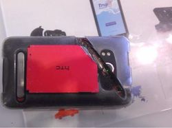 Potret Viral Lolos dari Sial dan Maut yang Sangat Dekat