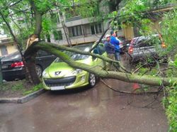 Potret Viral Lolos dari Sial dan Maut yang Sangat Dekat