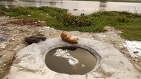 Dilansir dari AP, Dhobi Ghat di kawasan Lucknow, India, ini menyebut mereka mengalami penurunan pendapatan imbas pembatasan aktivitas yang diterapkan di India guna mencegah penyebaran virus Corona. Penghasilan setiap keluarga yang bekerja sebagai Dhobi Ghat ini berkisar $100 hingga $200 atau sekitar Rp 1,5 juta-Rp 3 juta per bulan.