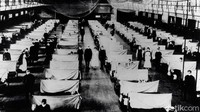 Flu Spanyol