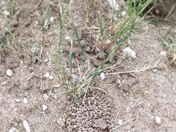 Potret Viral Lolos dari Sial dan Maut yang Sangat Dekat