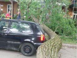 Potret Viral Lolos dari Sial dan Maut yang Sangat Dekat