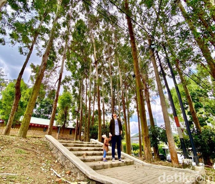 Lokasi Eco Pesantren ini di daerah Parongpong, Kabupaten Bandung Barat tepatnya di Jalan Cigugur Girang No.34, Cigugur Girang, Parongpong Bandung Barat.