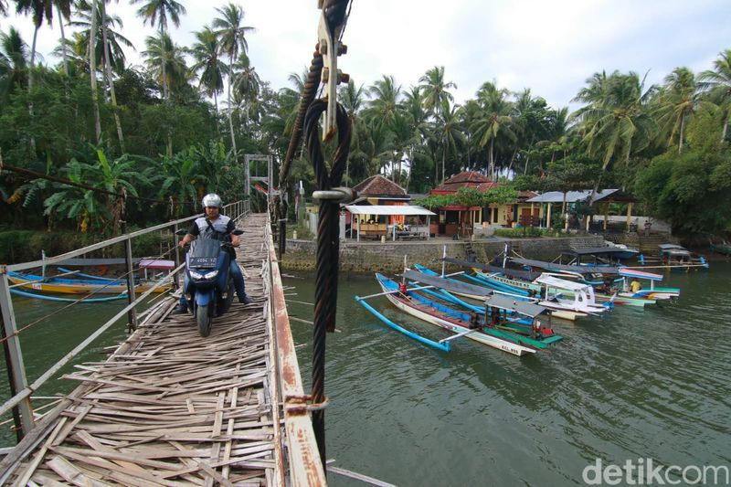 Pemprov Jatim Teluk Pangpang Banyuwangi Dijadikan Kawasan Ekosistem Esensial