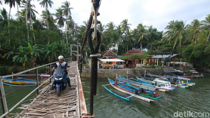 Pemprov Jatim Teluk Pangpang Banyuwangi Dijadikan Kawasan Ekosistem Esensial