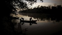 Diketahui penduduk asli tertular setelah mereka datang ke kota-kota terdekat untuk berdagang, membeli bahan pokok dan mengumpulkan pembayaran darurat dari pemerintah.