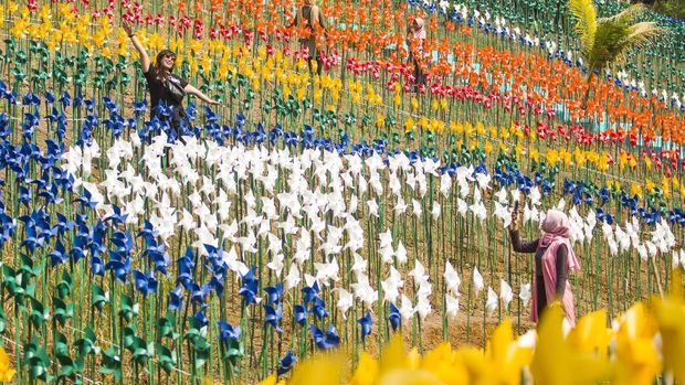 Taman Kincir Angin Marigold Garden di Karawang jadi alternatif destinasi wisata di akhir pekan. Di sana warga dapat berfoto dengan latar ribuan kincir angin.