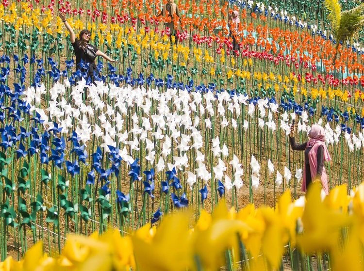 Foto: Warna-warni Ribuan Kincir Angin di Karawang