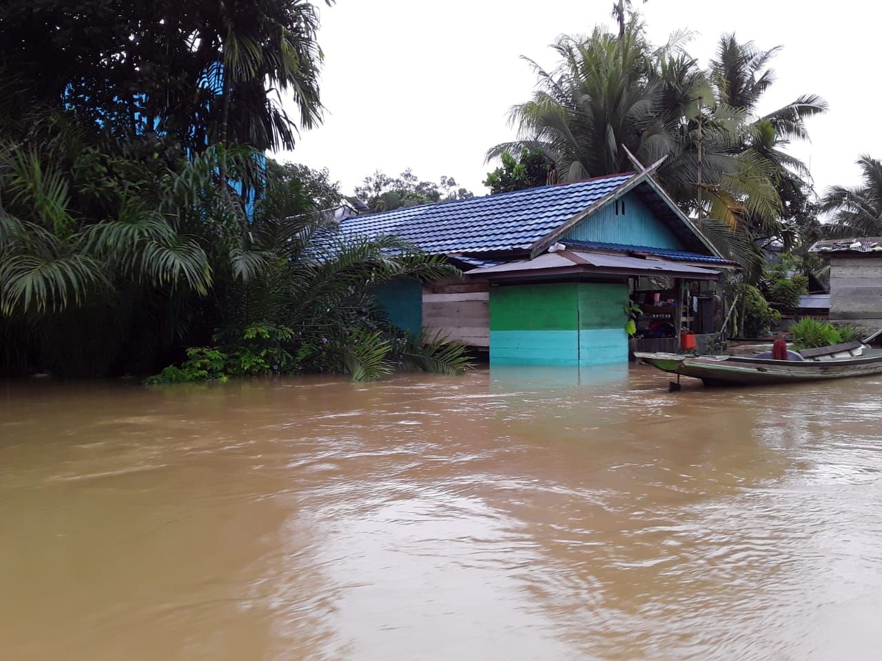 1.118 rumah di Kabupaten Kotawaringin Timur (Kotim), Kalimantan Tengah (Kalteng), terendam banjir sejak pekan lalu (dok BNPB)