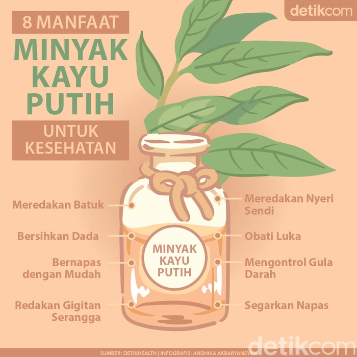 8 Manfaat Minyak Kayu Putih