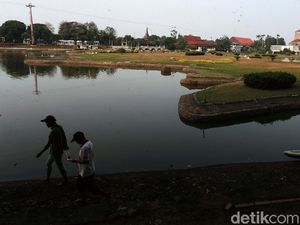 Kisah Pilu Seniman TMII yang Berjuang Hidup dari Donasi
