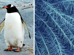 Benda Sehari-hari Dilihat Pakai Mikroskop, Mengejutkan!