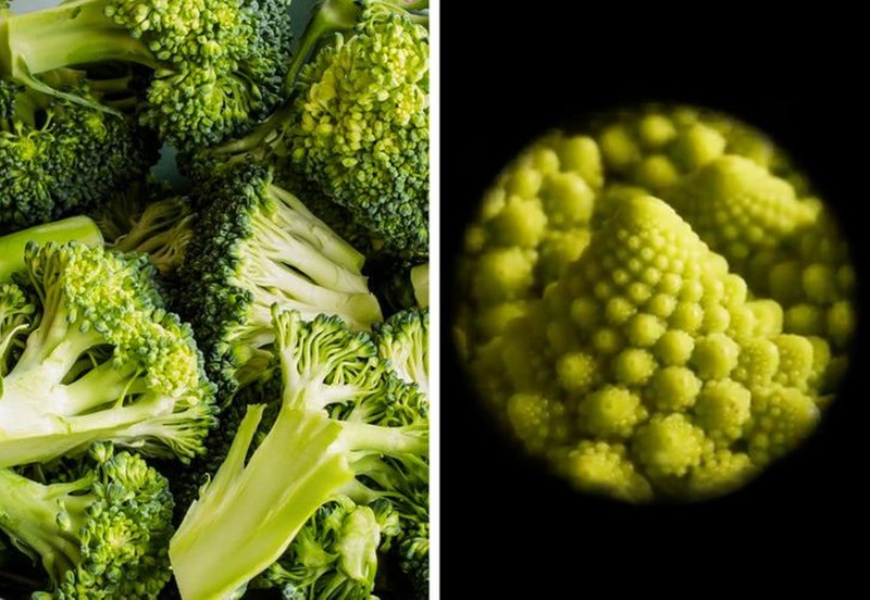 fotoinet mikro benda sekitar