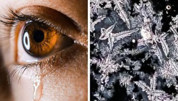 Air mata. Foto: Brightside