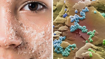 Butiran lulur wajah. Foto: Brightside