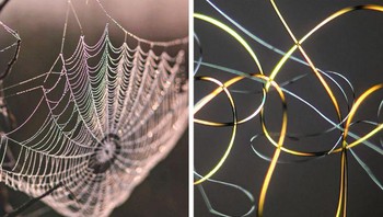 Jaring laba-laba. Foto: Brightside