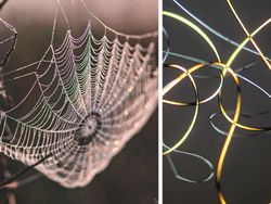 Benda Sehari-hari Dilihat Pakai Mikroskop, Mengejutkan!