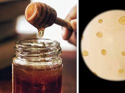 Benda Sehari-hari Dilihat Pakai Mikroskop, Mengejutkan!