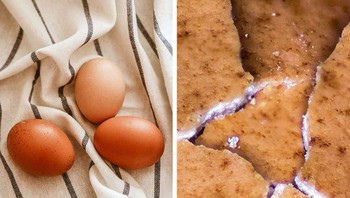 Kulit telur yang direbus. Foto: Brightside