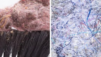 Debu rumah. Foto: Brightside